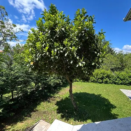 Maja Wellness Oasis For Relaxation Apartamento Kršan